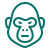 flysoft logo